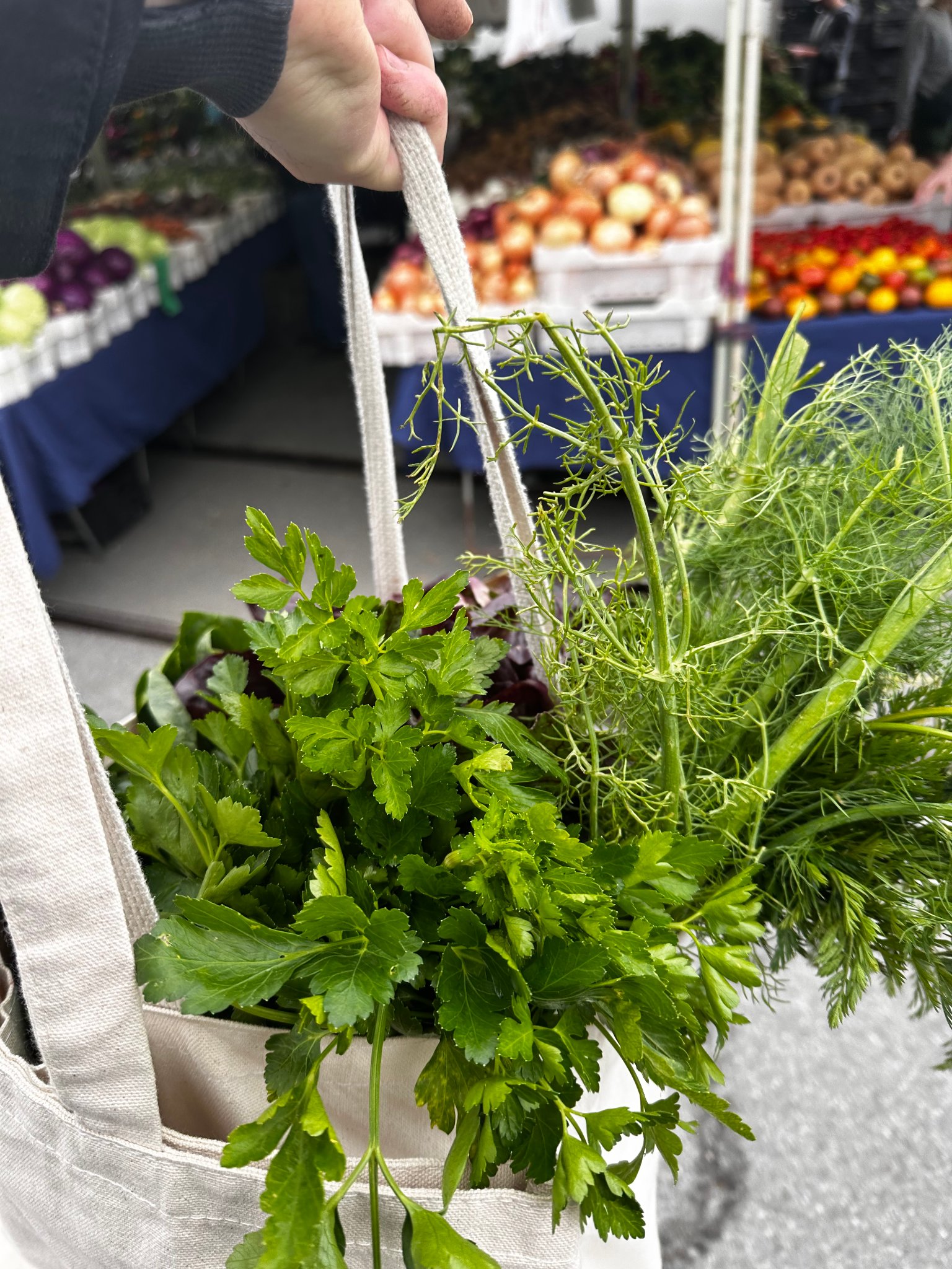 Fresh Mediterranean ingredients — figs, herbs, and seasonal produce