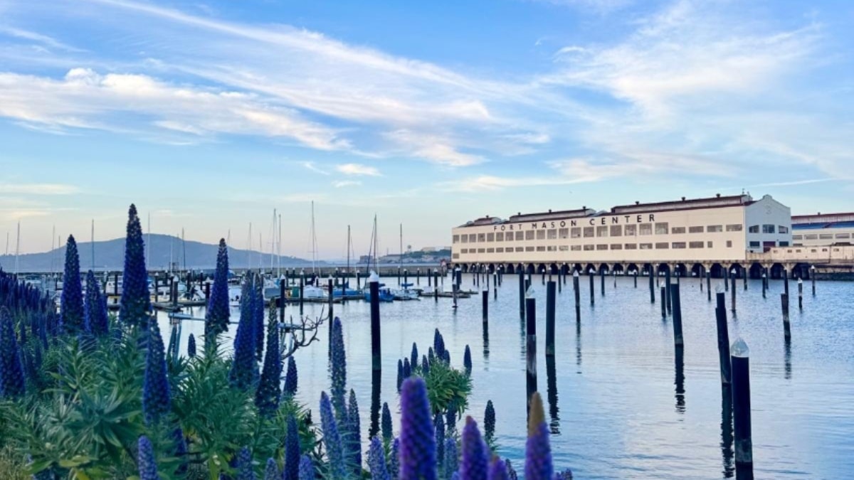 Ferry Plaza Farmers Market, San Francisco