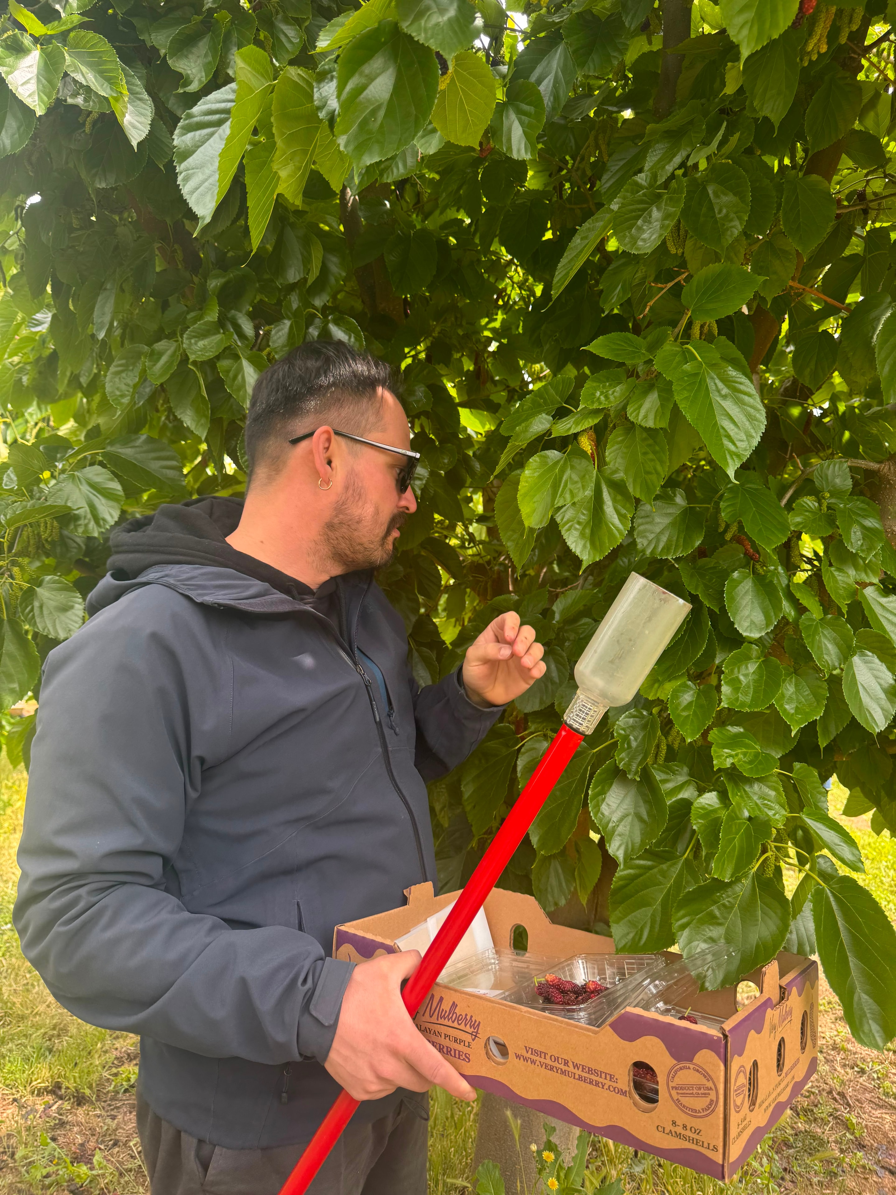 Fruit
