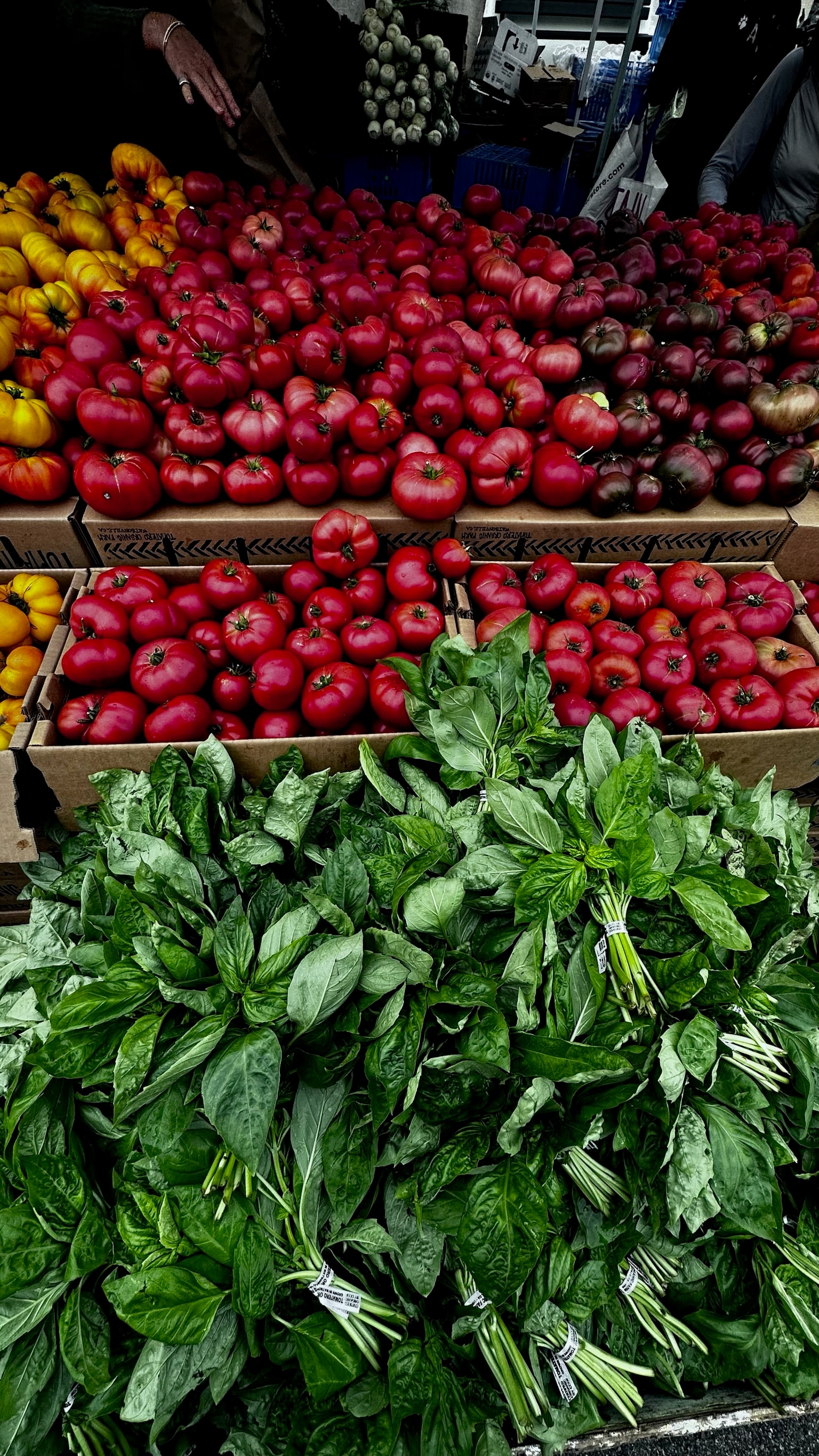 Vegetables & Herbs